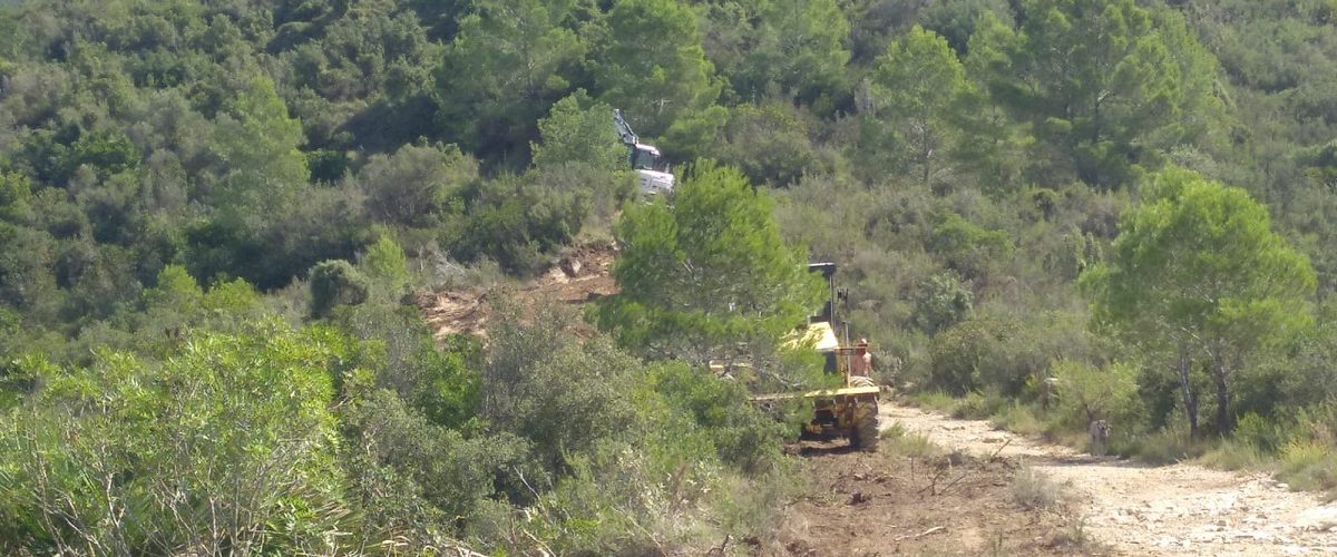 Pista forestal a la Murta
