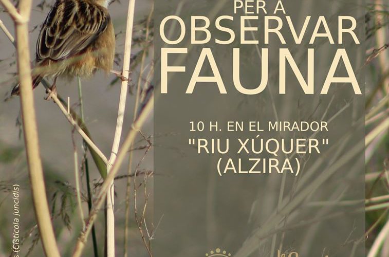 visita guiada