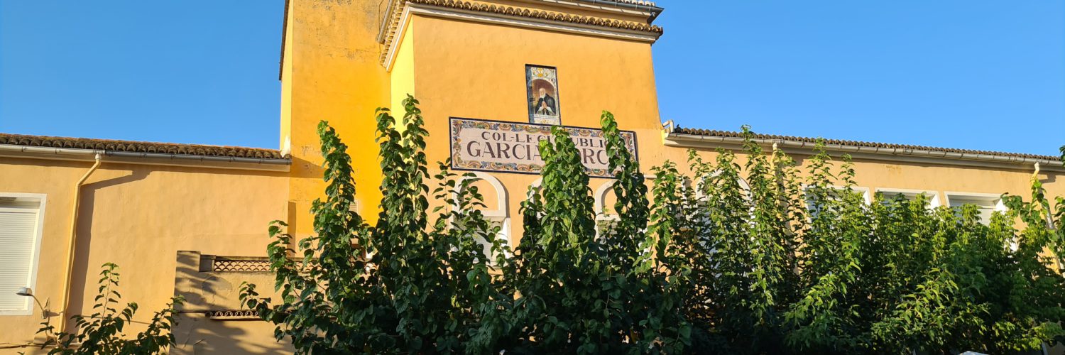 GARCIA LORCA ALZIRA