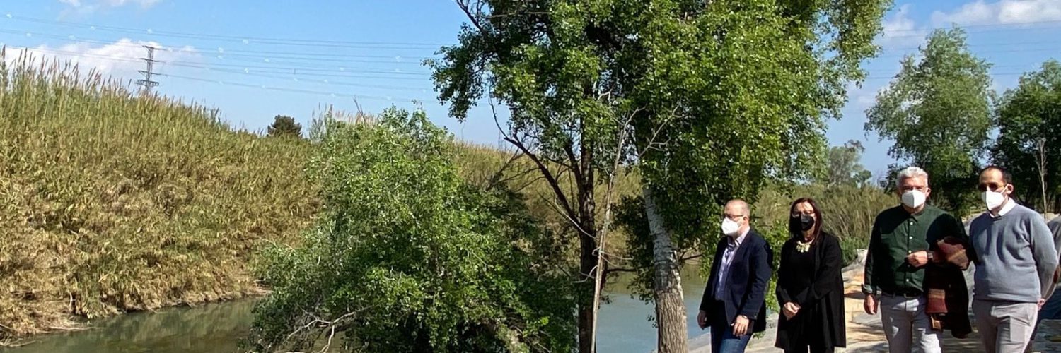    millora del marge dret del Xúquer a Alzira