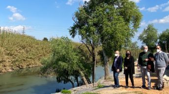    millora del marge dret del Xúquer a Alzira