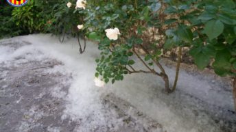 RISCS INCENDIS PRIMAVERA