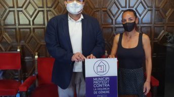 sueca violencia de genere