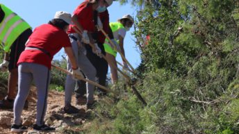 L'ALCUDIA CONTRATA 154 PERSONES