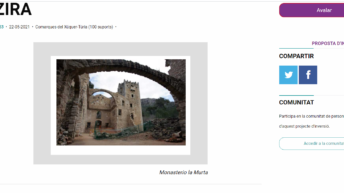 proyecte murta