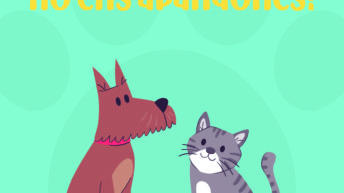 NO M'ABANDONES