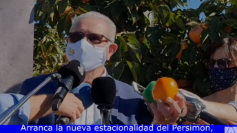 persimon nueva campaña