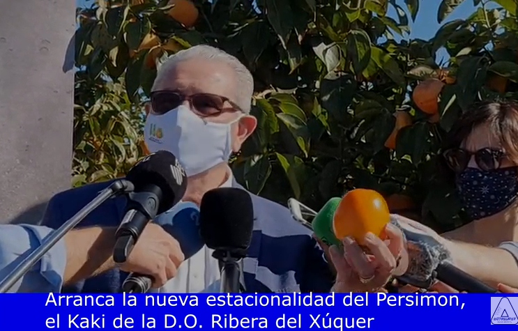 persimon nueva campaña