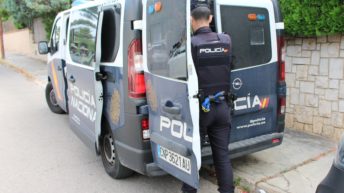 organización criminal