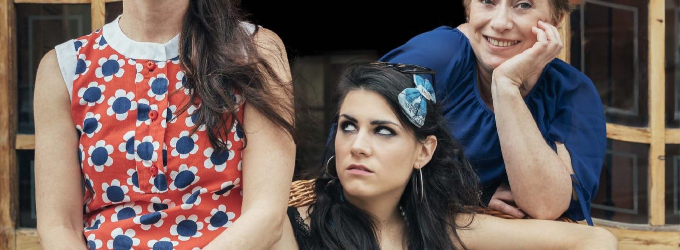 FAMÍLIA NORMAL de L’Horta Teatre
