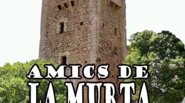 AMICS DE LAMURTA