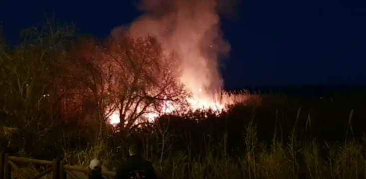 incendio matorrales alzira