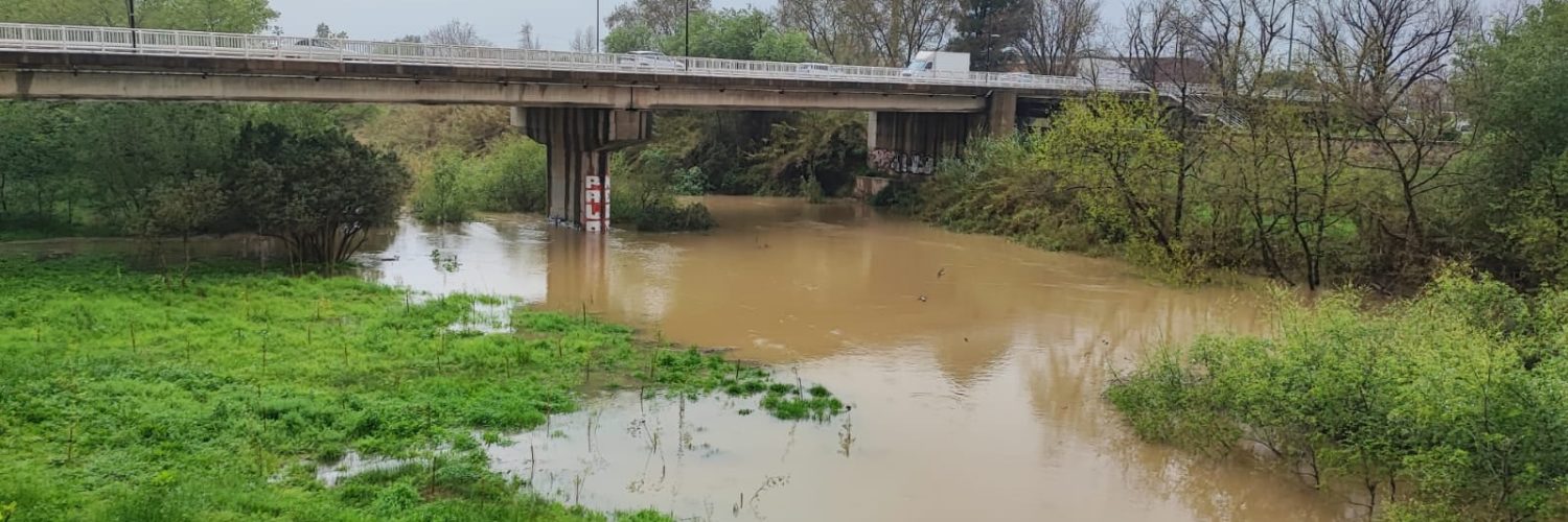 Crescuda del Riu Xúquer a Alzira