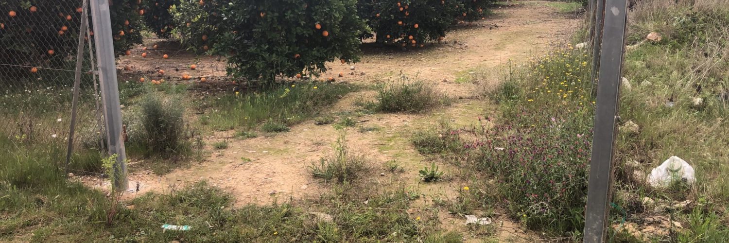 robos de hierro en los campos