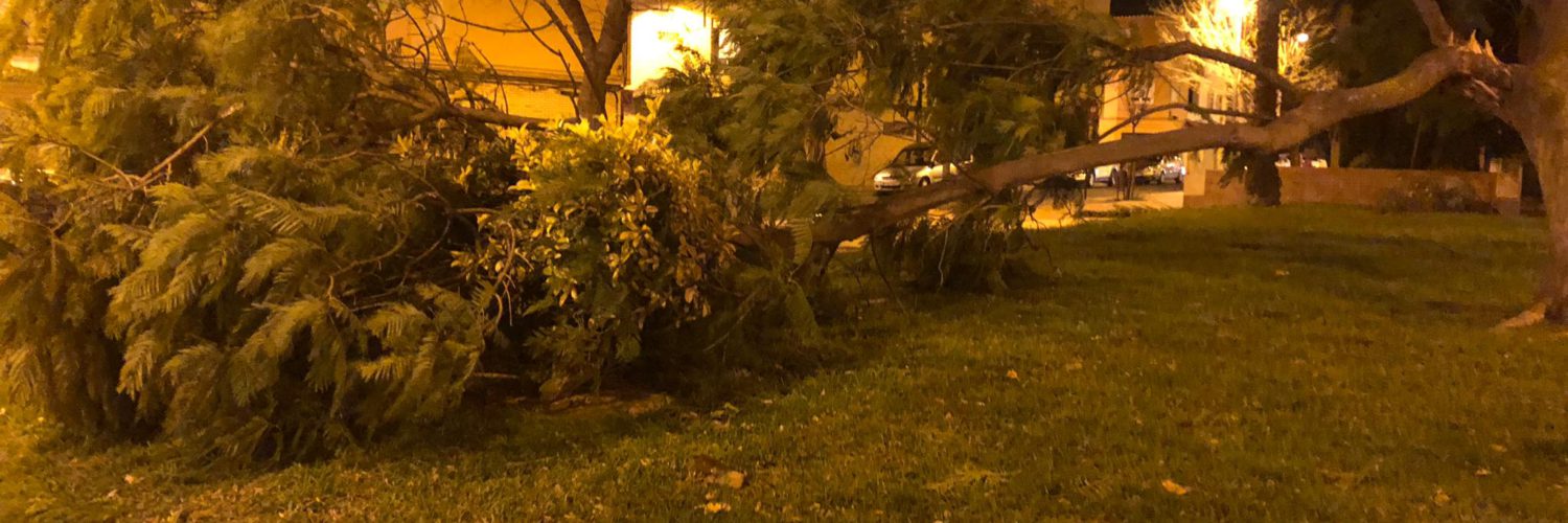 incidencies per vent a alzira