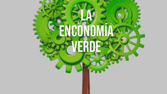 Economia Verda i Ocupació
