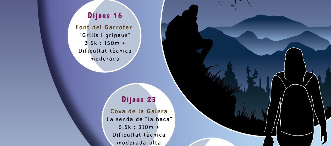 nits a la casella
